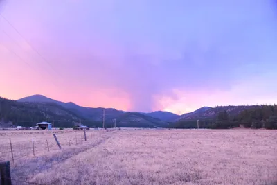 DSC_1835 (Large).JPG